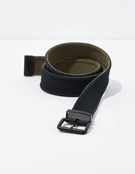 AEO Reversible Web Belt - Image 3