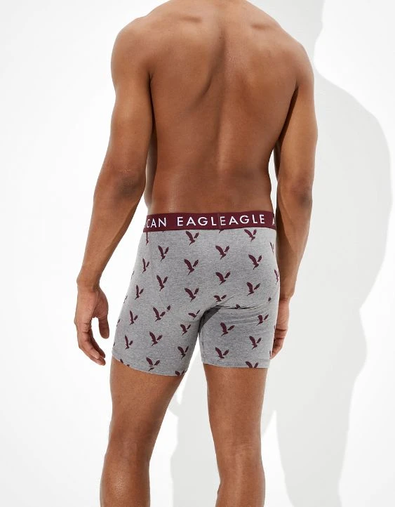 AEO Eagles 6" Classic Boxer Brief - Image 2