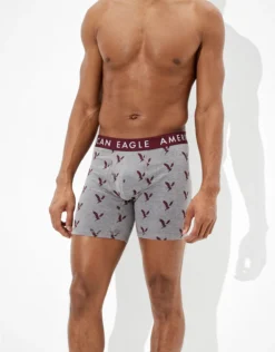 AEO Eagles 6" Classic Boxer Brief