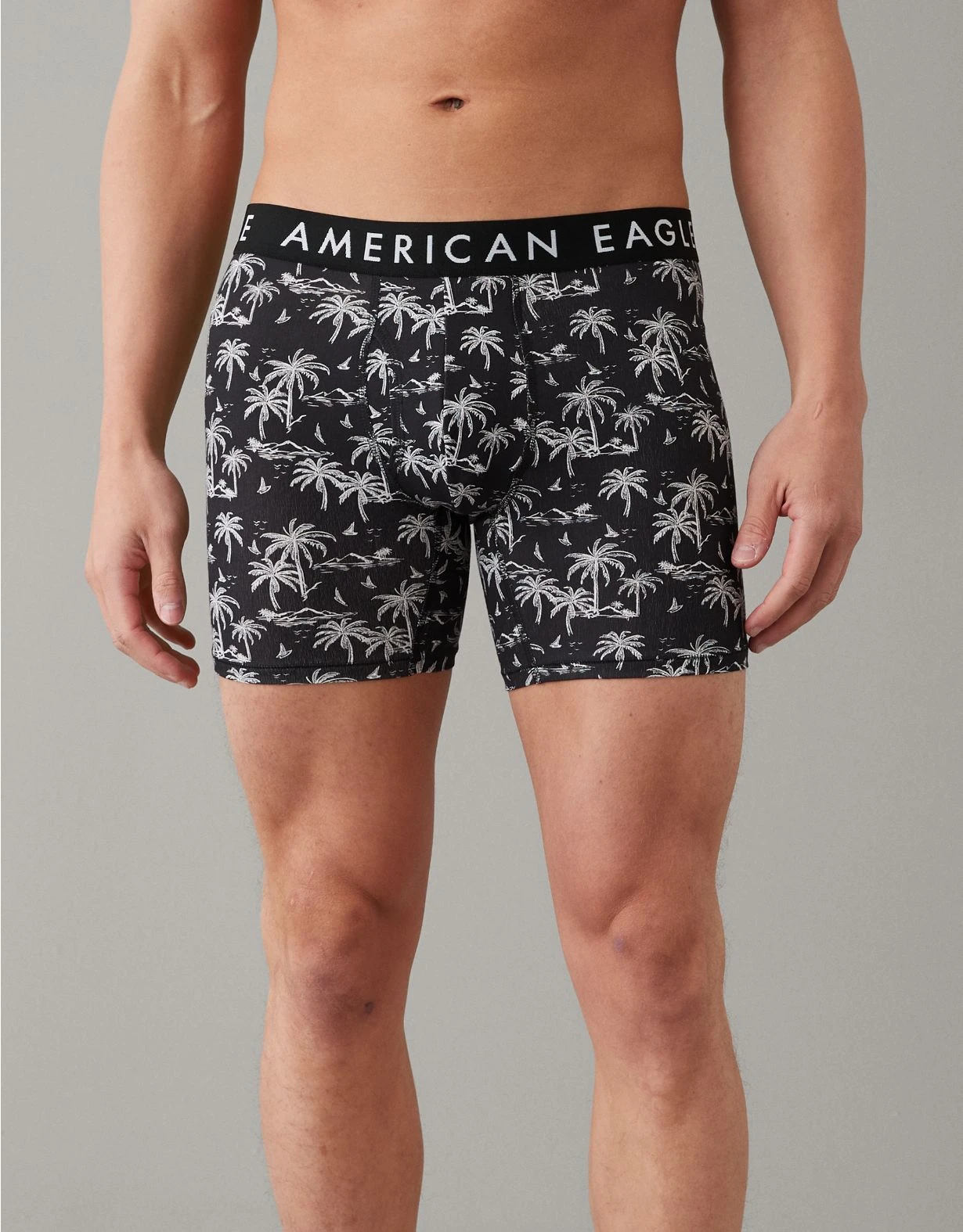 AEO Island Breeze 6" Classic Boxer Brief