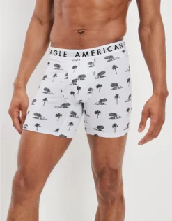 AEO Volcano Isle 6" Classic Boxer Brief