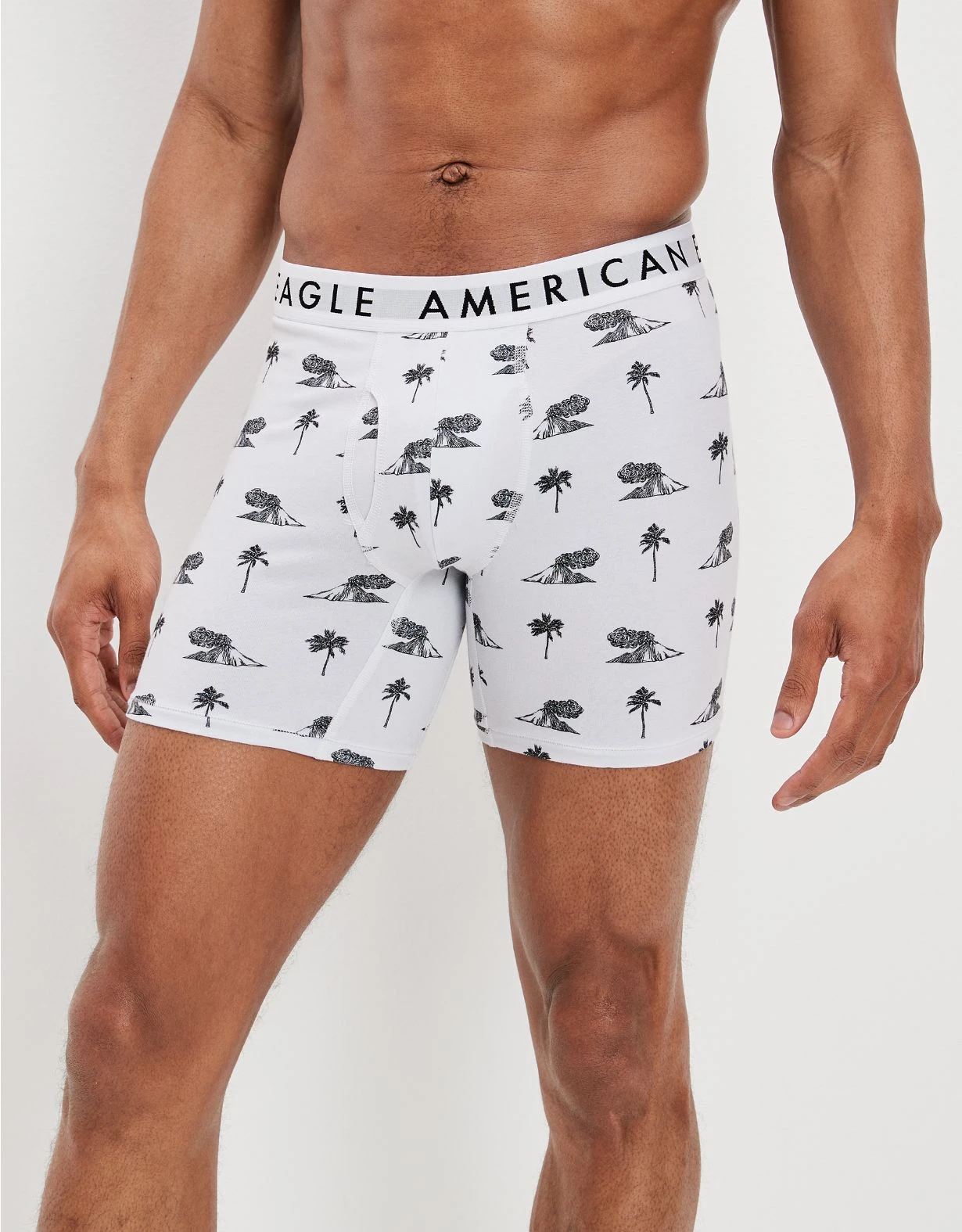 AEO Volcano Isle 6" Classic Boxer Brief