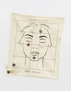 Aerie Geocentral Pure Facial Grid Kit