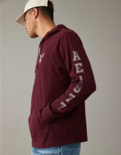 AE Super Soft Logo Graphic Hoodie T-Shirt