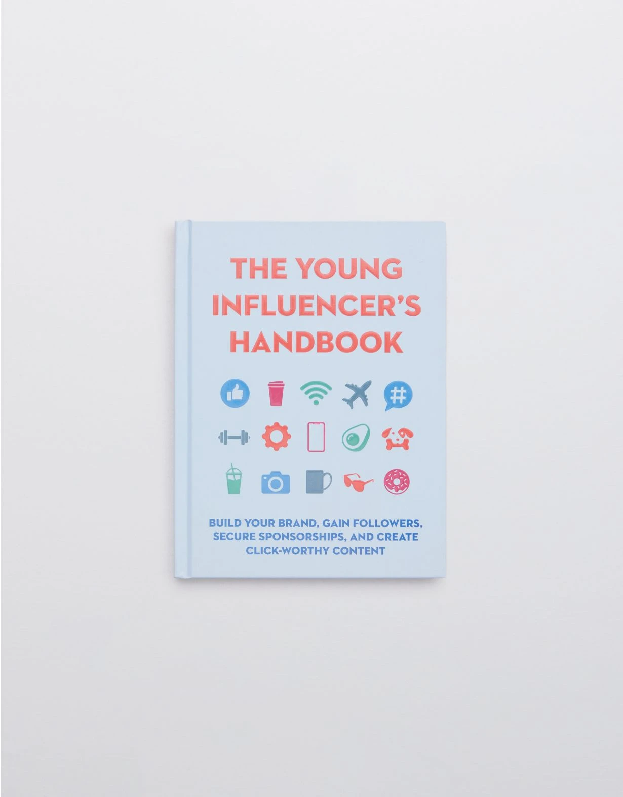 Aerie The Young Influencer's Handbook