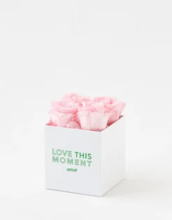 Aerie Rose Farmers Love This Moment Roses 4-Count